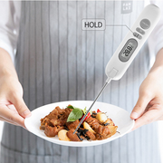 Electronic Food Thermometer