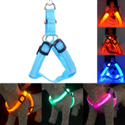 Rechargeable LED Pet Dog or Cat Harness - LED Flashing Light Collar