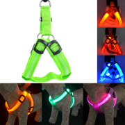 Rechargeable LED Pet Dog or Cat Harness - LED Flashing Light Collar