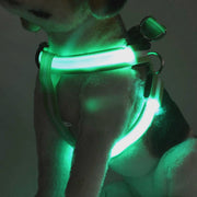 Rechargeable LED Pet Dog or Cat Harness - LED Flashing Light Collar